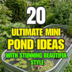 20 Ultimate Mini Pond Ideas with Stunning Beautiful Style