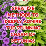 20 Creative Methods to Deeply Admire the Stunning Charm of Petunias
