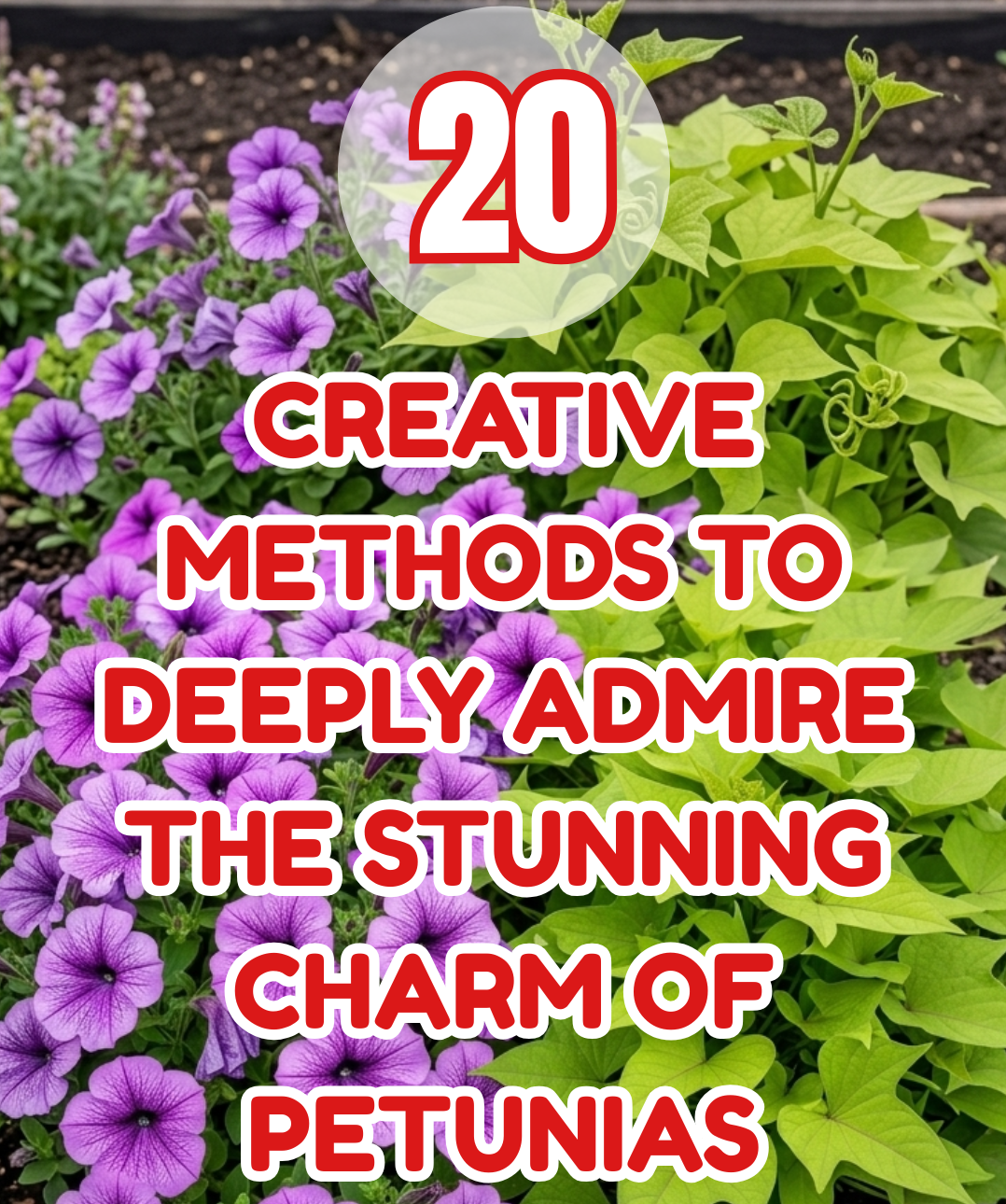 20 Creative Methods to Deeply Admire the Stunning Charm of Petunias