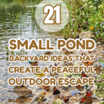 21 Small Pond Backyard Ideas That Create a Peaceful Outdoor Escape