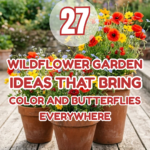 27 Wildflower Garden Ideas That Bring Color and Butterflies Everywhere