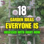 18 Garden Ideas Everyone Is Obsessed With Right Now