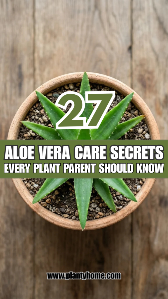 27 Aloe Vera Care Secrets Every Plant Parent Should Know