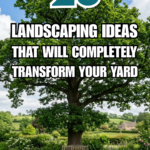 28 Landscaping Ideas That Will Completely Transform Your Yard