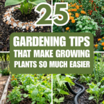 25 Gardening Tips That Make Growing Plants So Much Easier