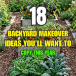 18 Backyard Makeover Ideas You’ll Want to Copy This Year