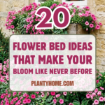 20 Flower Bed Ideas That Make Your Yard Bloom Like Never Before