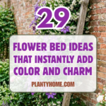 29 Flower Bed Ideas That Instantly Add Color and Charm