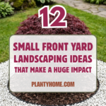 12 Small Front Yard Landscaping Ideas That Make a Huge Impact