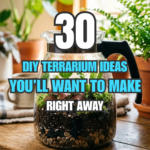 30 DIY Terrarium Ideas You’ll Want to Make Right Away