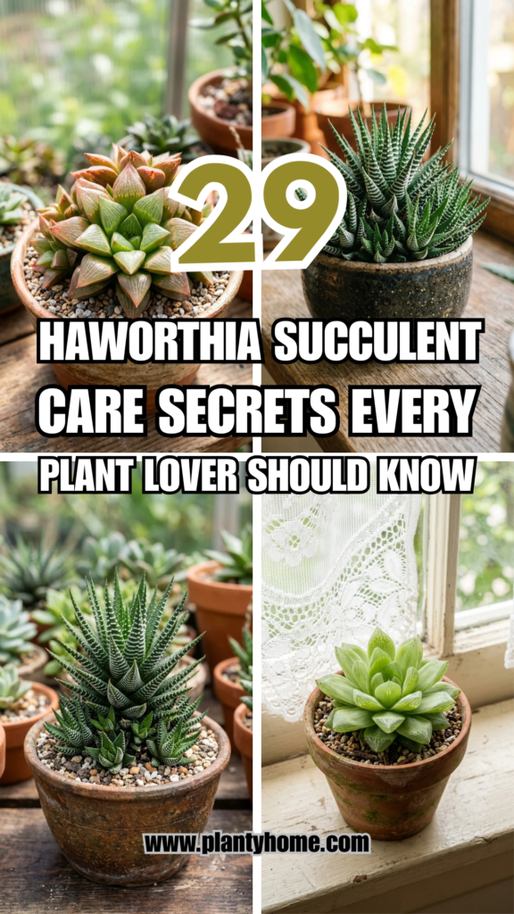 29 Haworthia Succulent Care Secrets Every Plant Lover Should Know