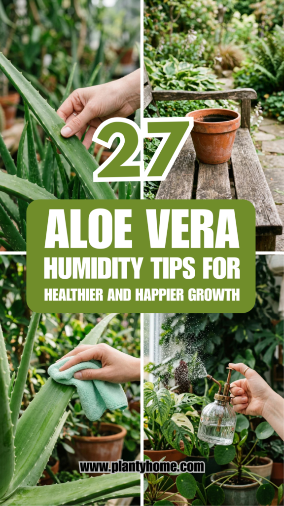 27 Aloe Vera Humidity Tips for Healthier and Happier Growth