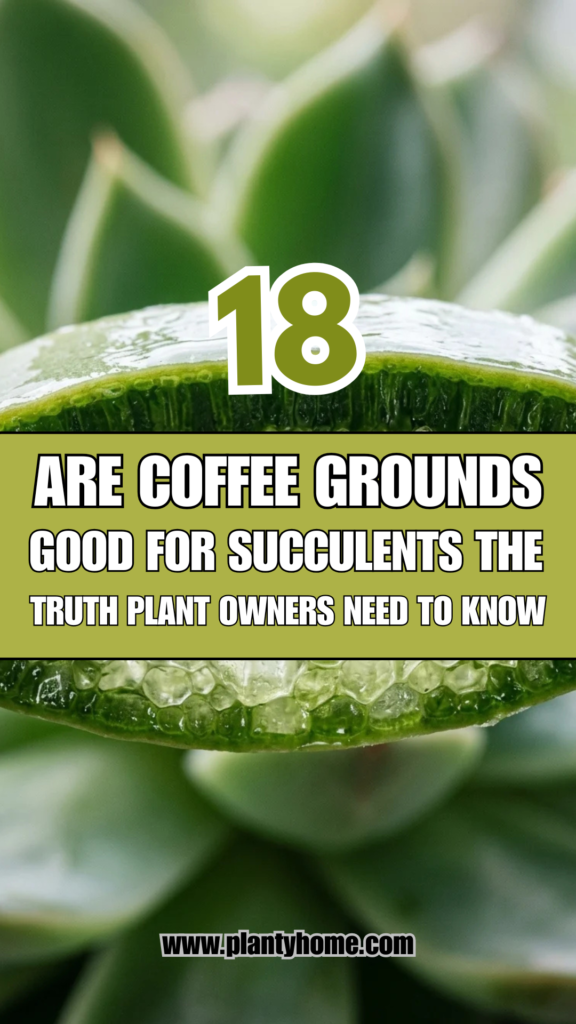 18 Are Coffee Grounds Good for Succulents? The Truth Plant Owners Need to Know
