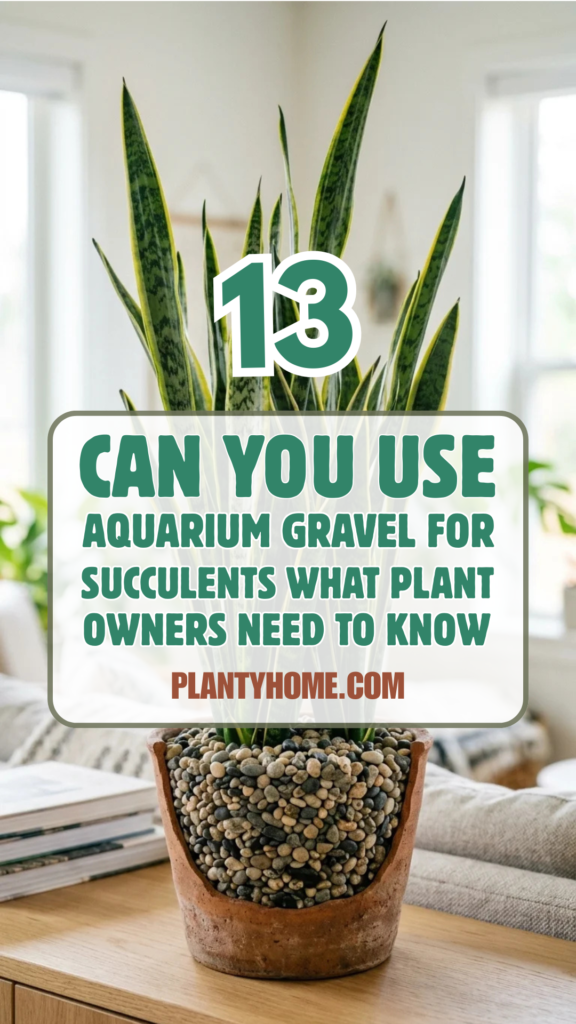 13 Can You Use Aquarium Gravel for Succulents? What Plant Owners Need to Know