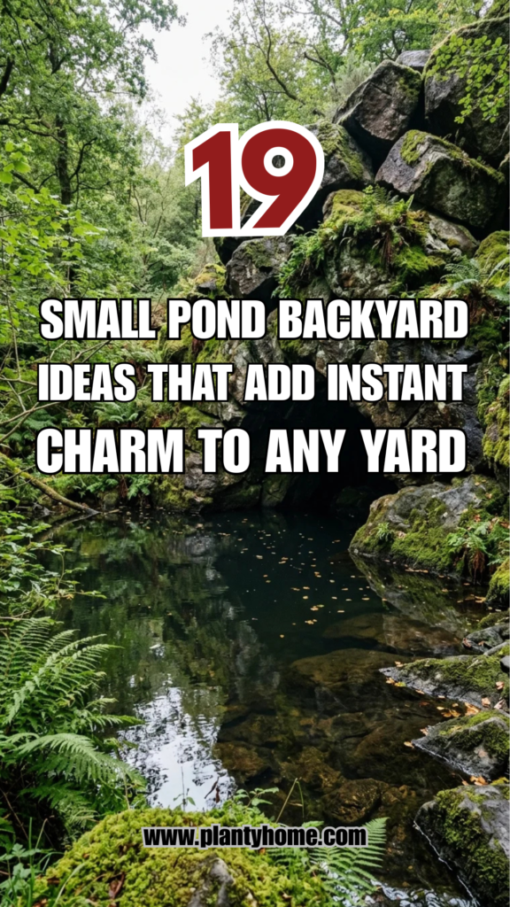 19 Small Pond Backyard Ideas That Add Instant Charm to Any Yard