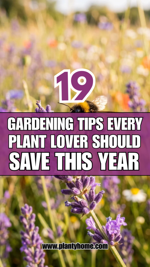 19 Gardening Tips Every Plant Lover Should Save This Year