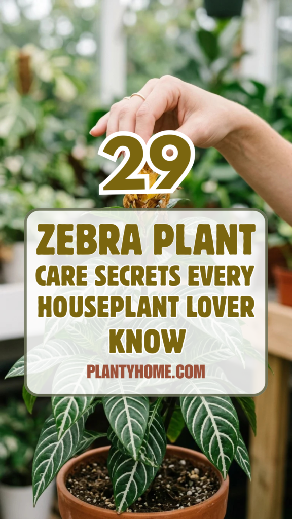29 Zebra Plant Care Secrets Every Houseplant Lover Should Know