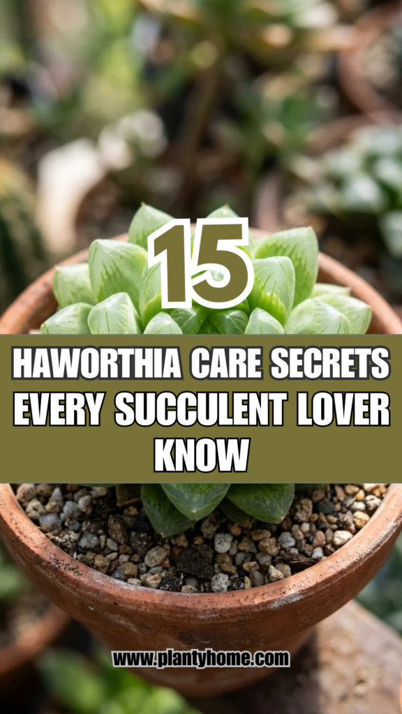 15 Haworthia Care Secrets Every Succulent Lover Should Know