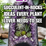 27 Succulent-in-Rocks Ideas Every Plant Lover Needs to See