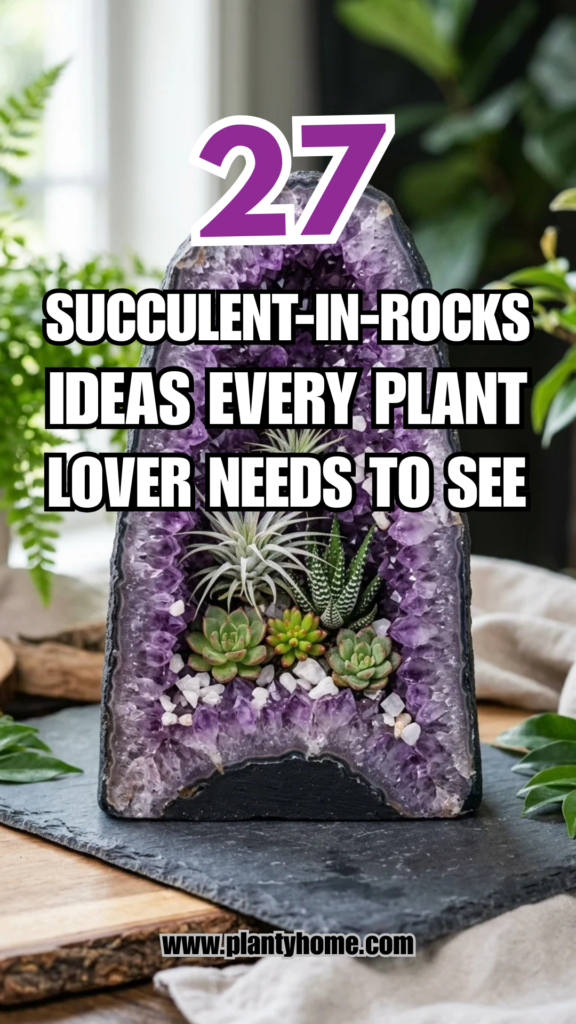 27 Succulent-in-Rocks Ideas Every Plant Lover Needs to See