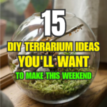 15 DIY Terrarium Ideas You’ll Want to Make This Weekend