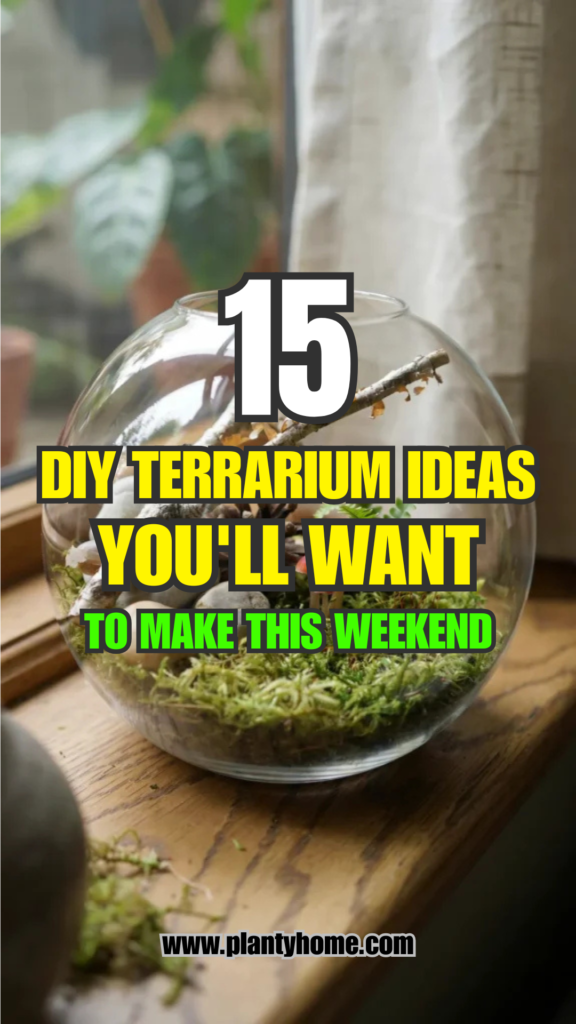 15 DIY Terrarium Ideas You’ll Want to Make This Weekend
