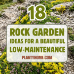 18 Rock Garden Ideas for a Beautiful Low-Maintenance Landscape