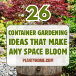 26 Container Gardening Ideas That Make Any Space Bloom