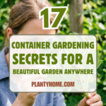 17 Container Gardening Secrets for a Beautiful Garden Anywhere