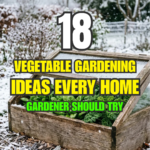 18 Vegetable Gardening Ideas Every Home Gardener Should Try