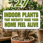27 Indoor Plants That Instantly Make Your Home Feel Alive