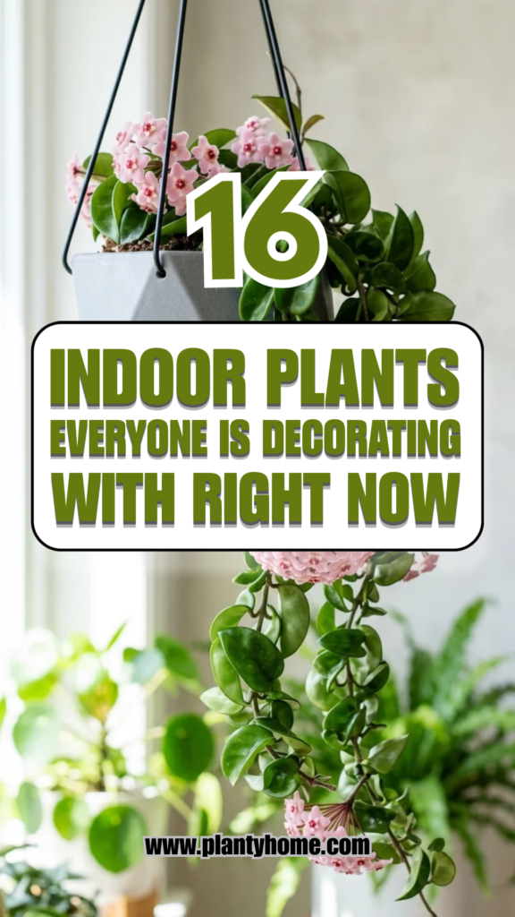 16 Indoor Plants Everyone Is Decorating With Right Now